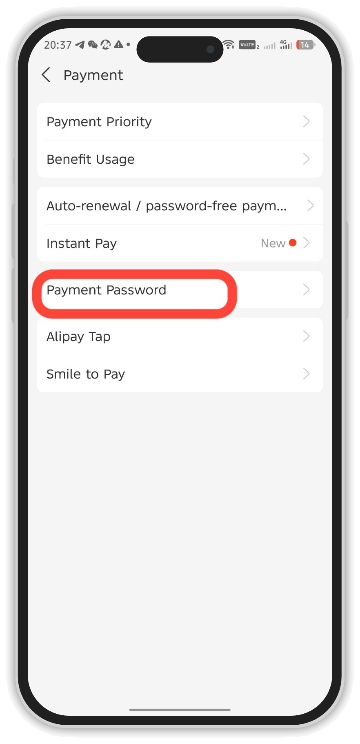 Payment Password в Alipay