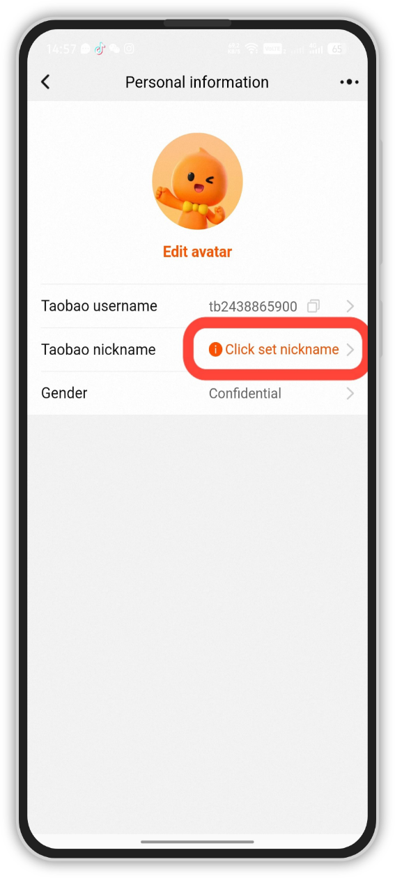 Вводим номер и Alipay